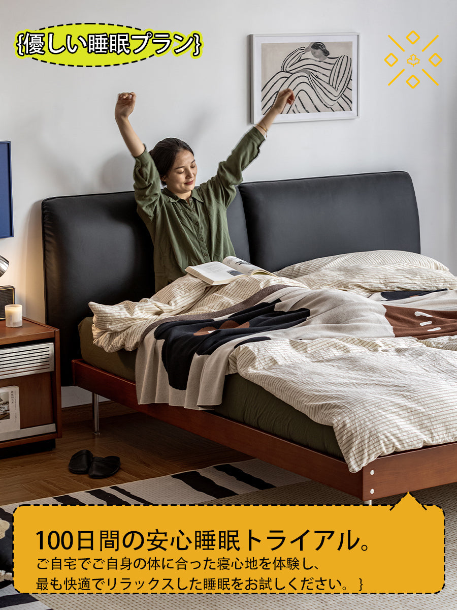 Compact Modern Bed Frame
