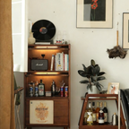 Compact Walnut Mobile Cart