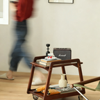 Compact Walnut Mobile Cart